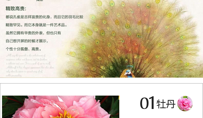 
                                        世轩 十字绣精准印花客厅新款大幅花开富贵孔雀吉祥幸福之家画 3股线绣 11CT棉线印花140*55CM                