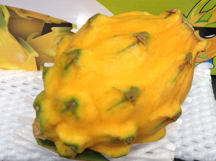 顺丰发货麒麟果燕窝果黄龙果原箱礼盒装68个