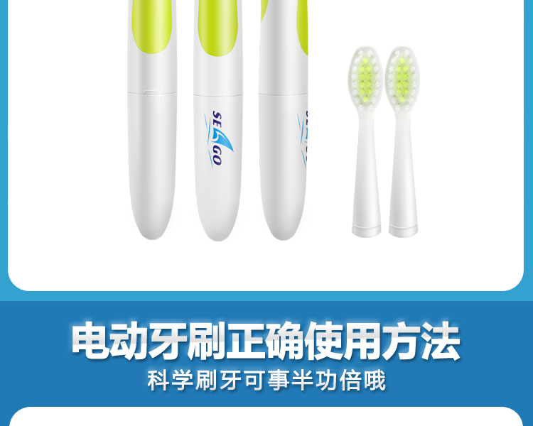 
                                                            【领劵下单立减20元】赛嘉（seago） 电动牙刷家用成人自动声波震动牙刷软毛情侣款 亲民款（5个刷头）                