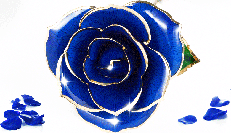 780_451gif 动态图 动图