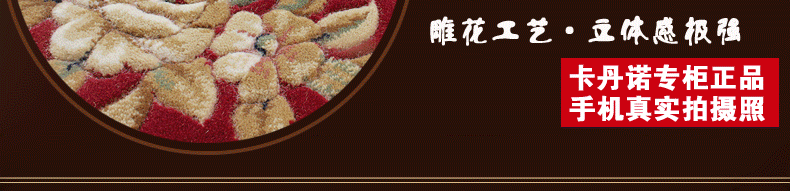 卡丹诺 加厚1200纬高密  纯手工雕花  欧式美式简约现代卧室地垫客厅茶几羊毛质感地毯 9009BE 1200纬加厚型 0.8米*1.2米