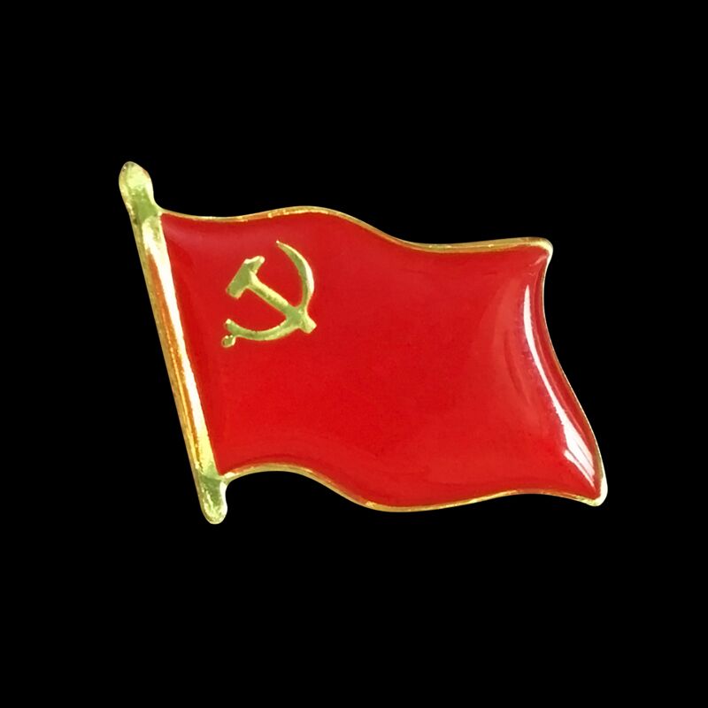 斯图党徽胸章党徽磁扣别针党员徽章为人民服务党徽蓝边党徽磁扣款50个