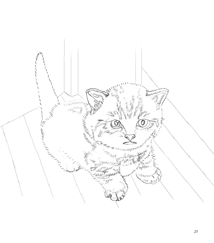 《 大人的填色书--可爱猫咪 》【摘要 书评 试读】- 京东图书