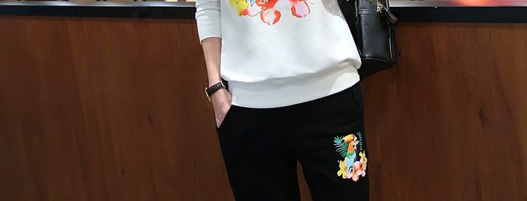 
                                        湖澜卫衣女宽松连帽2017秋季带T恤字母运动休闲套装女三件套H8317 绿色 3XL                