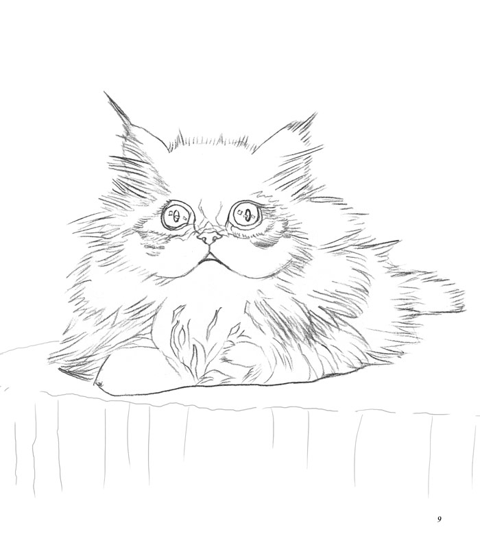 绘画 其他绘画 大人的填色书--可爱猫咪