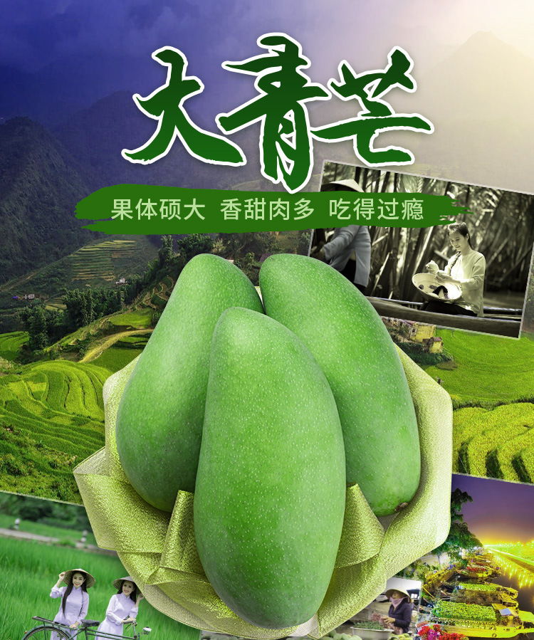 越南大青芒进口水果青皮芒果大金煌芒玉芒3.