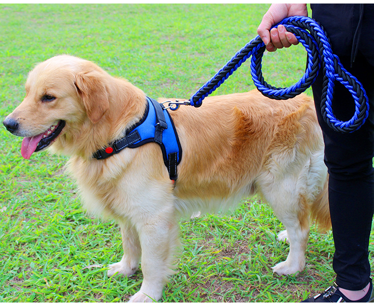 憨憨宠狗链狗狗牵引绳中型犬大型犬狗绳金毛萨摩耶拉布拉多宠物用品