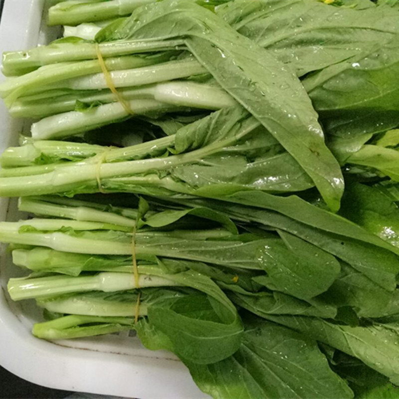 湖北特产 新鲜白菜苔 白菜心菜薹 农家蔬菜 3kg