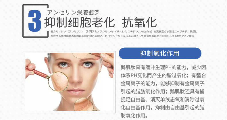 野口医学研究所 Noguchi 日本直邮dr Bk 鲨鱼软骨素 葡萄糖胺低分子玻尿酸植物葡萄糖胺新健康活力制品版 图片价格品牌报价 京东