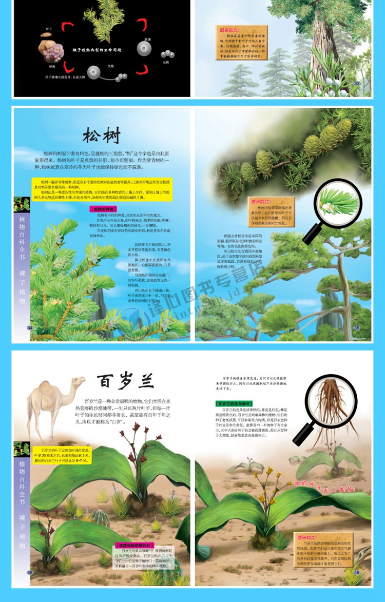 植物百科全书新版超值珍藏精装李继勇主编精美手绘插图一部知识的海洋