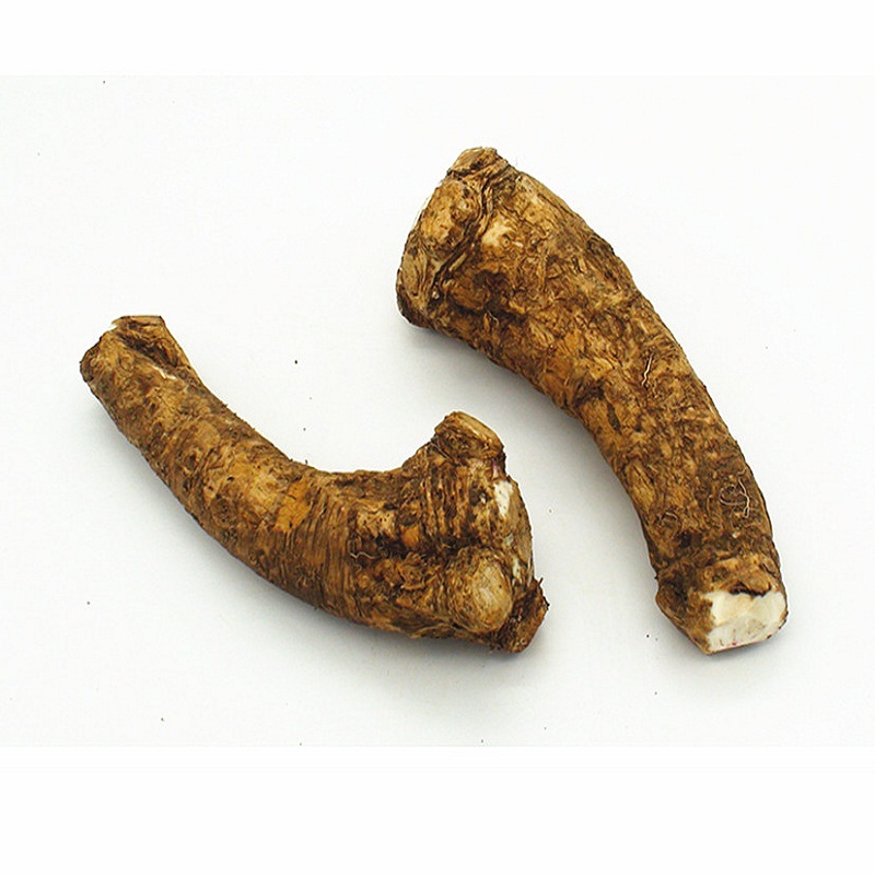 马萝卜辣根新鲜鲜辣根horseradishroot500克500g