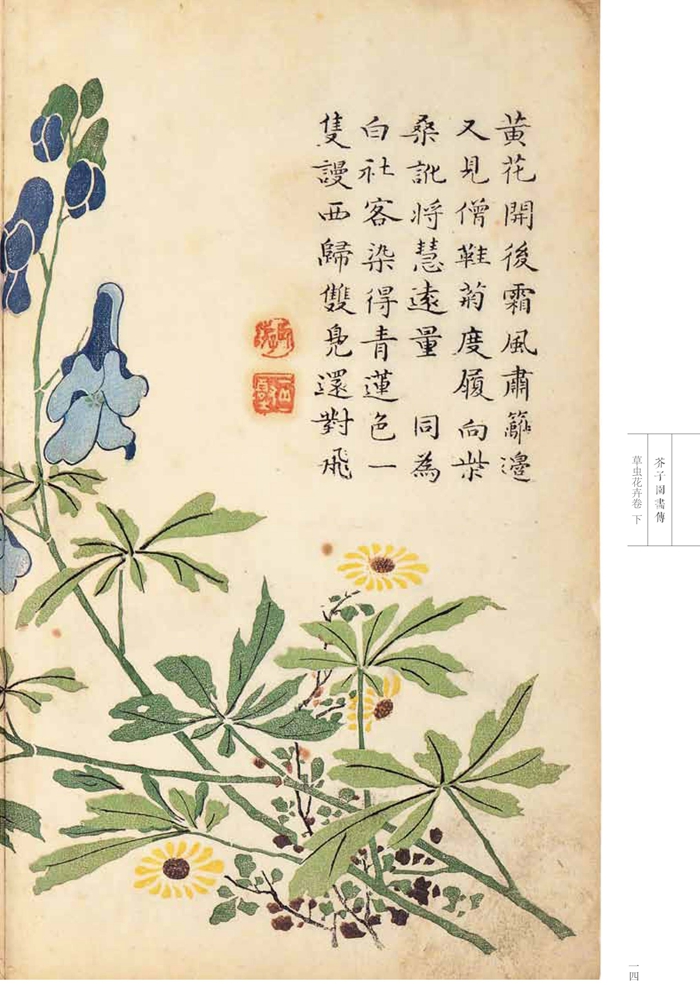 康熙原版 芥子园画传 花鸟卷 草虫花卉谱 下