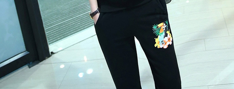 
                                        湖澜卫衣女宽松连帽2017秋季带T恤字母运动休闲套装女三件套H8317 绿色 3XL                