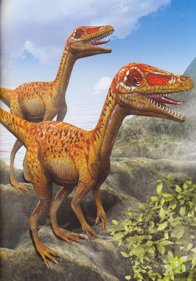 恐龙的星球探秘 三叠纪