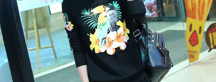 
                                        湖澜卫衣女宽松连帽2017秋季带T恤字母运动休闲套装女三件套H8317 绿色 3XL                