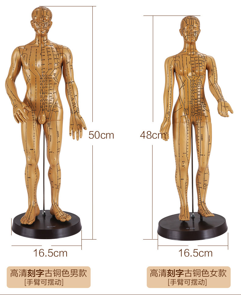 可孚针灸铜人穴位人体模型中医针灸穴位经络铜色高清模型男模女模普通