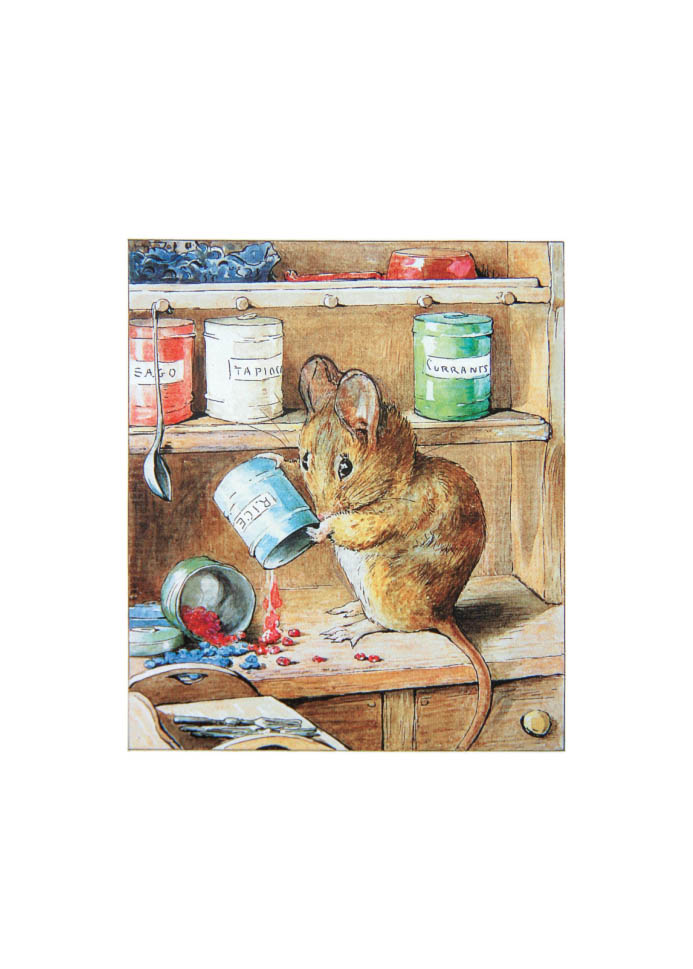 ht满48包邮 正版-小兔彼得和他的朋友们 2淘气鼠汤