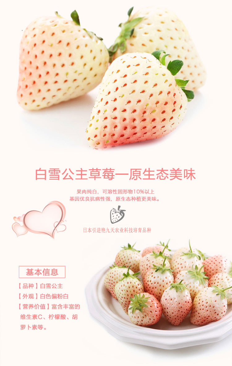 顺丰发货日本品种白草莓水果白雪公主草莓纯白草莓500g礼盒装新鲜清甜