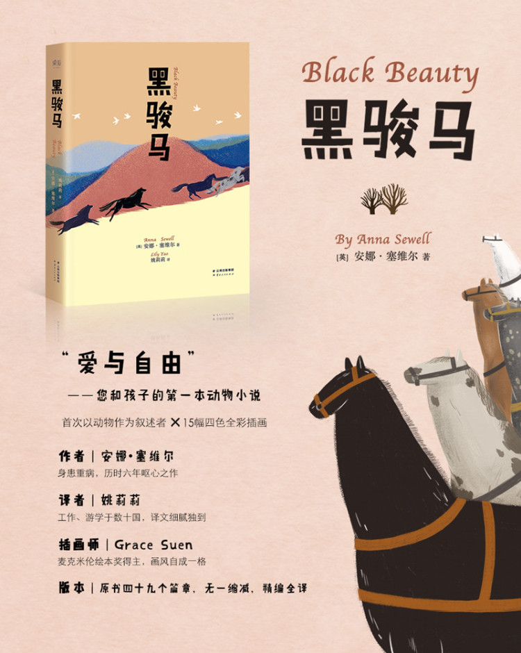 黑骏马 9787222152878