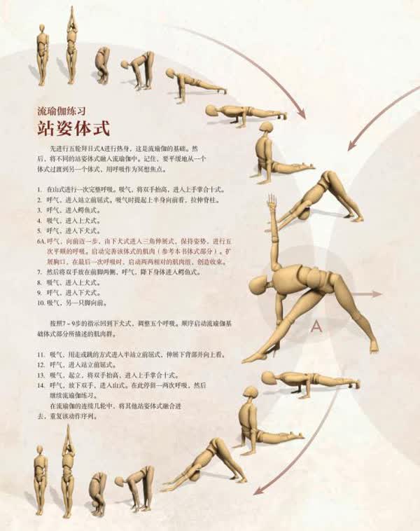 [jw]准瑜伽解剖书 流瑜伽及站姿体式|anatomy for vinyasa flow