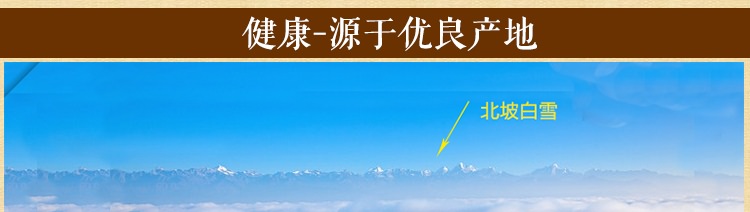 
                                        瓦纳（vanare）   塔香 菩提木雕花 印度莲花檀香沉香锥香熏香  60颗装 乳香                