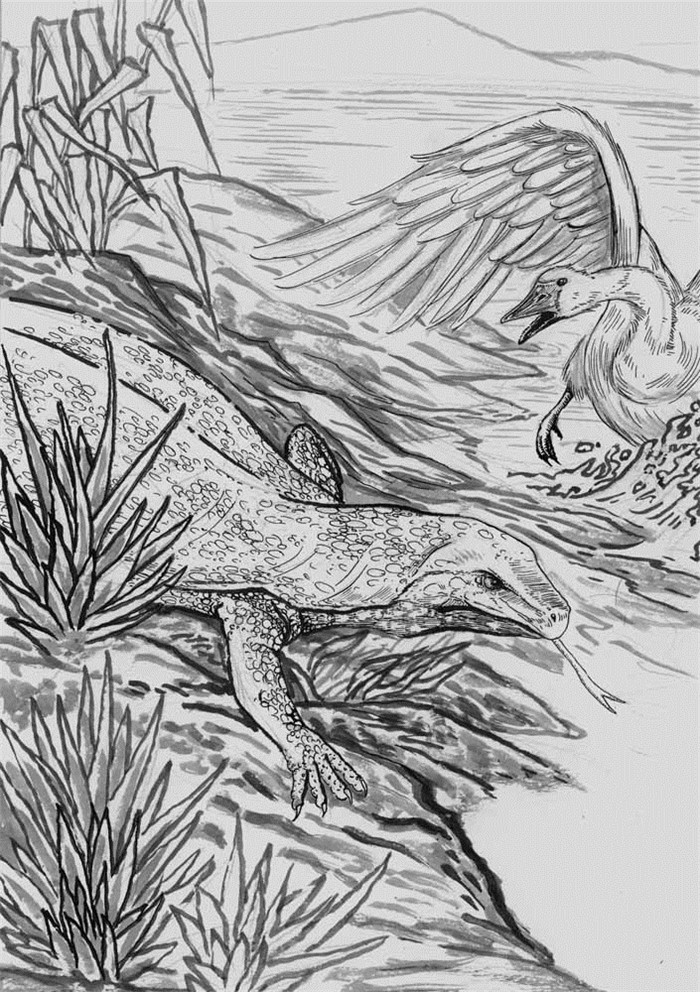 和乌鸦做邻居 乌鸦银斑点 沈石溪 [加]西顿