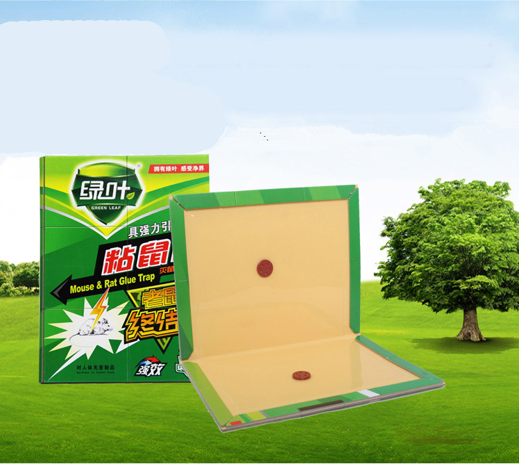 绿叶greenleaf绿叶粘鼠板厚硬板粘鼠板驱赶老鼠贴家用捕鼠器驱鼠灭鼠