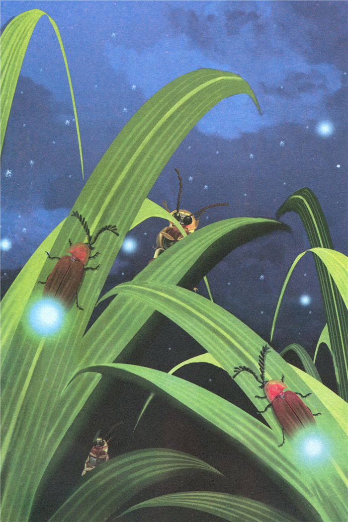 昆虫记 9787541538346 云南教育出版社