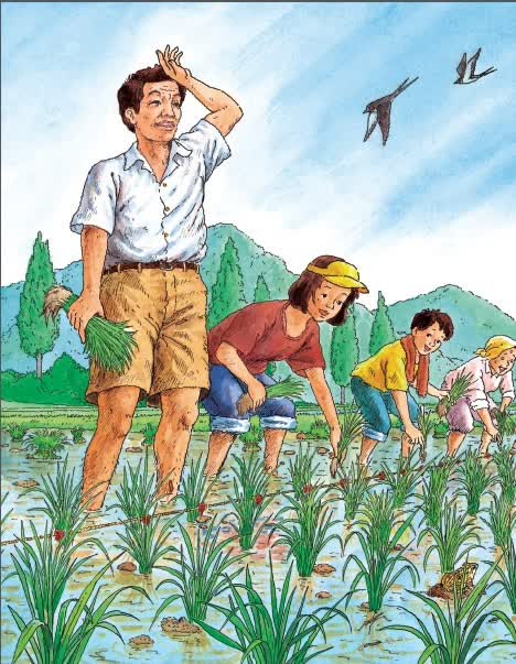 京东触屏版