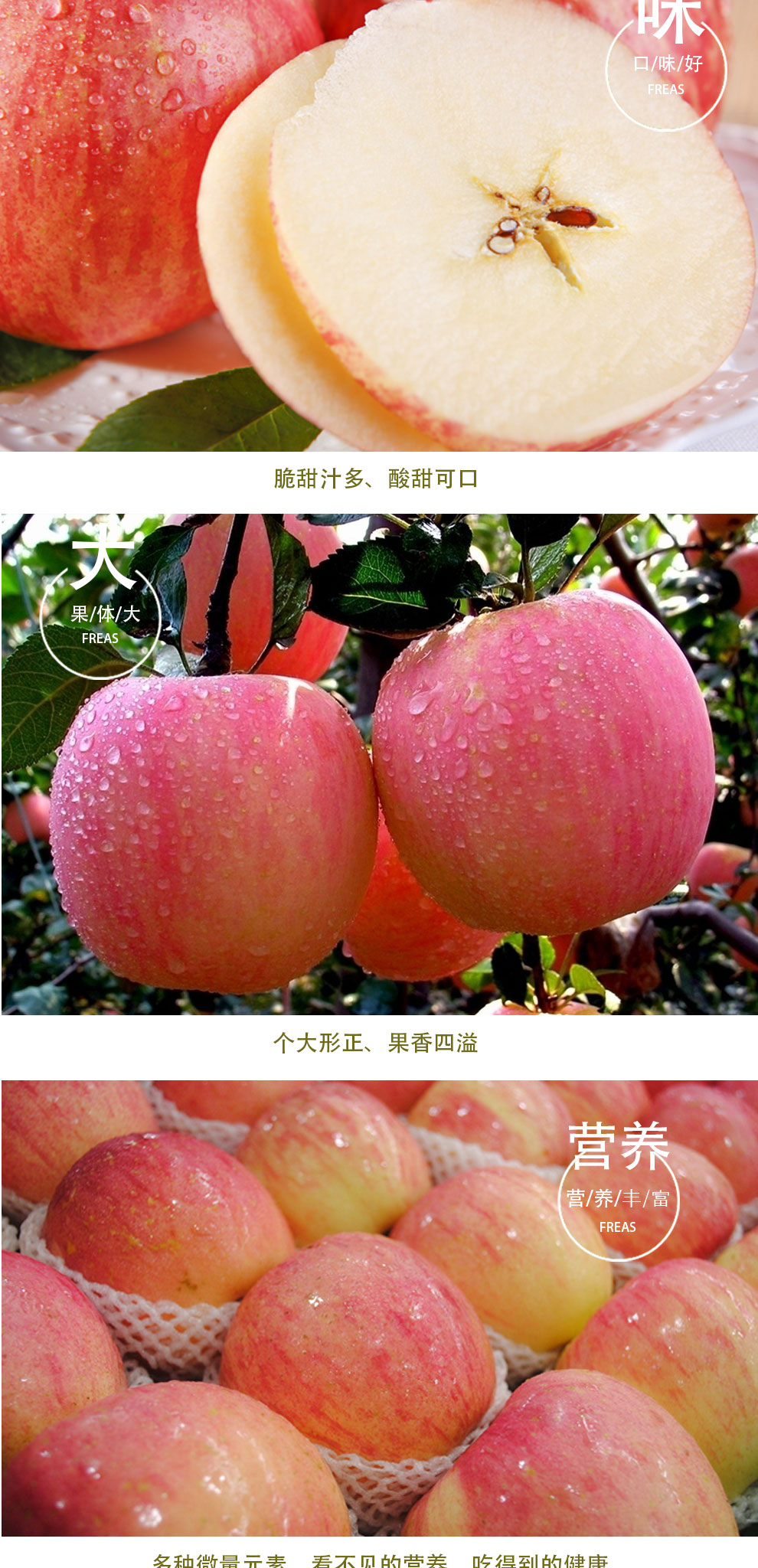 【渭南馆】苹果红富士苹果陕西特产白水苹果白水红富士苹果新鲜水果