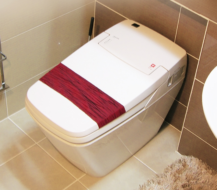 vovo韩国原装进口通便灌肠智能马桶家用全自动翻盖洁肠水疗养身机电动