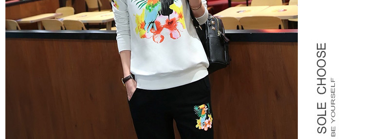 
                                        湖澜卫衣女宽松连帽2017秋季带T恤字母运动休闲套装女三件套H8317 绿色 3XL                