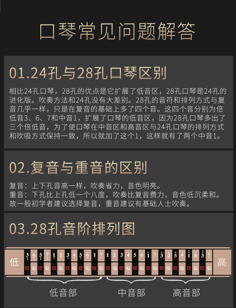 德国进口音簧easttop28孔宽音域复音重音口琴高级成人专业演奏口琴