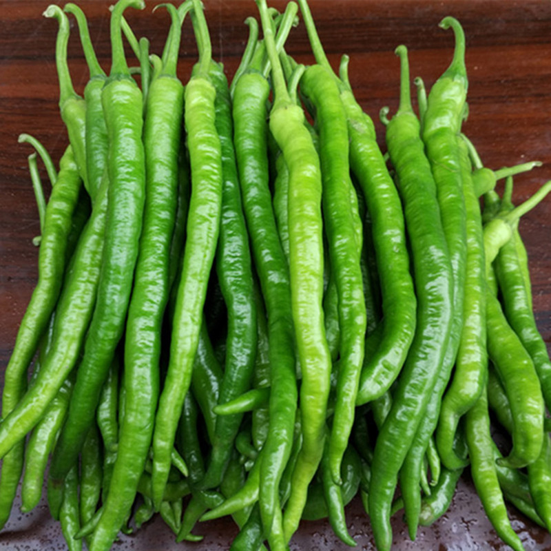 味小仙 二荆条辣椒 新鲜青线椒 尖椒海椒蔬菜 5斤二荆条