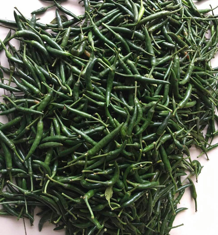 媚调新鲜青红辣 超辣青红辣椒朝天椒 生鲜蔬菜 红小米辣 500g【图片
