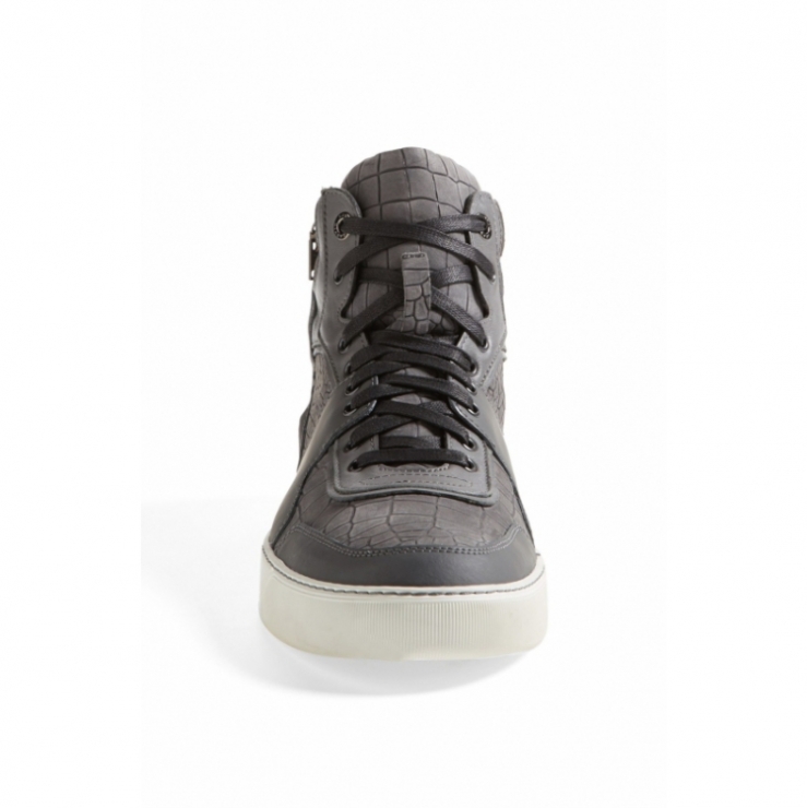 code : q00223100  color : bluish grey  panels of scale-stampd