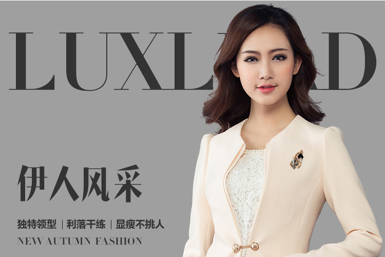 汤菲儿 小西装女2015秋冬短款韩版修身女长袖休闲小西服 职业时尚百搭外套XXZ8502 XL
