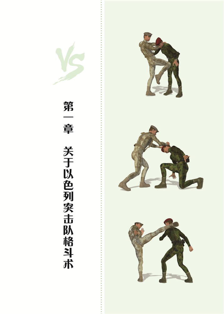 以色列突击队格斗术 武术格斗秘籍书籍