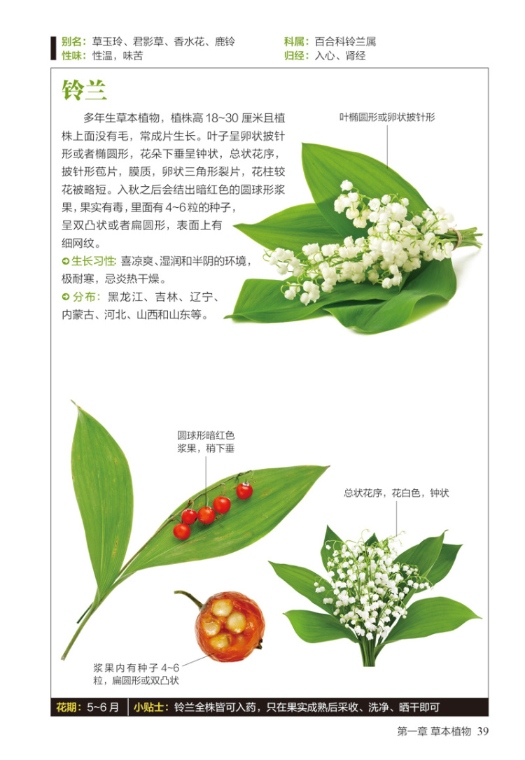 正版:野花图鉴:揭开179种野花的神秘面纱 9787553757537