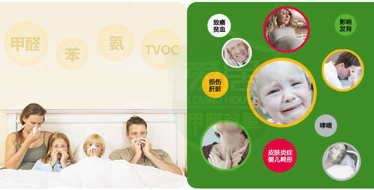 
                                        爱居 甲醛清除剂 装修除味剂 去甲醛喷剂 一瓶                