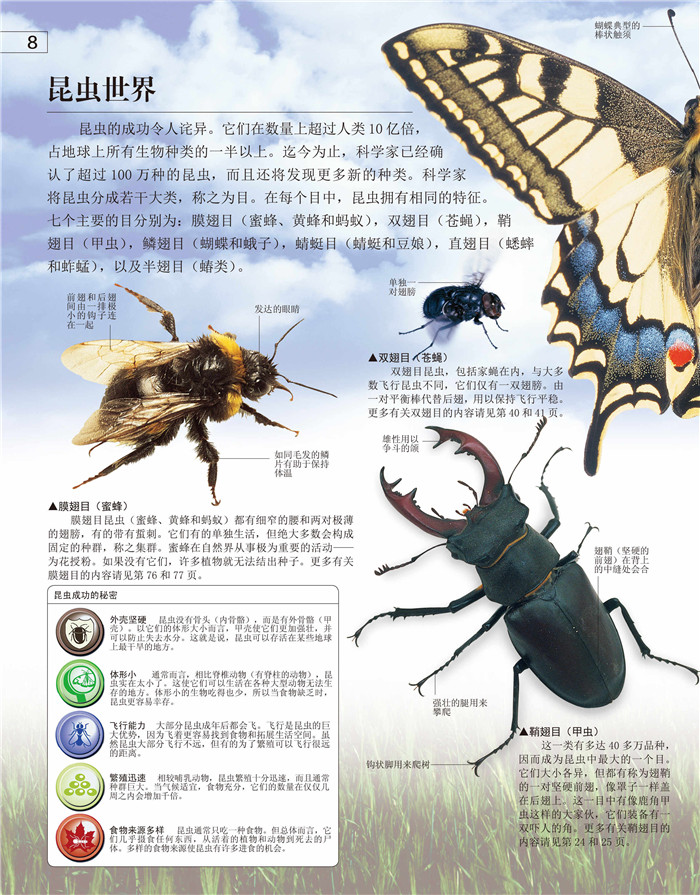 童书 科普/百科 dk探索 斑斓昆虫