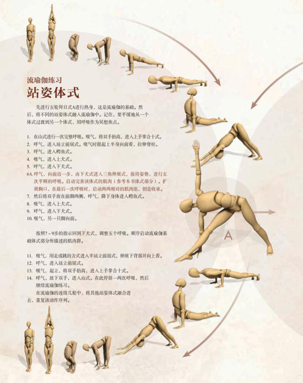 精准瑜伽解剖书1:流瑜伽及站姿体式 9787511369987