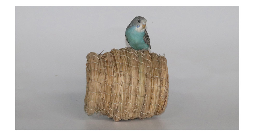 朗缤 鸟窝草窝虎皮鹦鹉牡丹文鸟草编小鸟繁殖巢穴 鸟秋千 1件