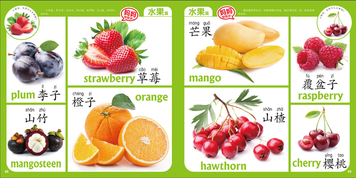 童书 幼儿启蒙 宝宝的本看图识物书:好吃的蔬果  目录 作者介绍 nice