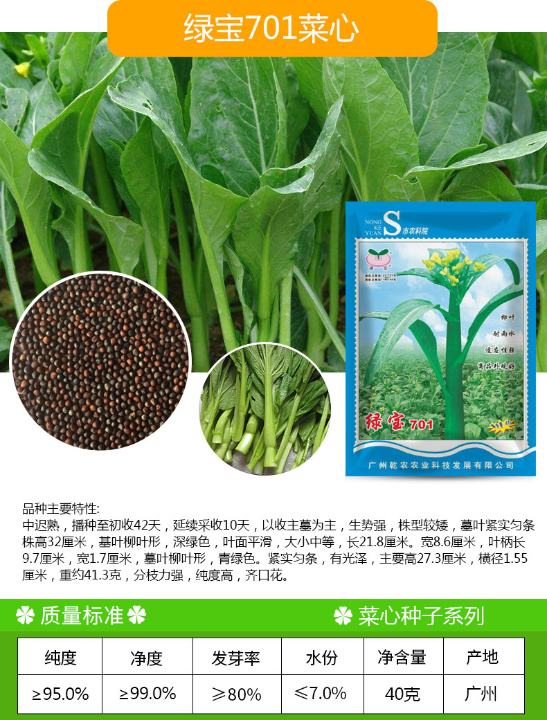 凤鸣雅世 甜菜心种籽蔬菜种子四九菜心种子夏季冬季粗条31甜菜心种子