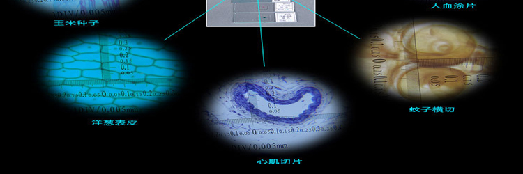 5af319e1N5faa892c.jpg