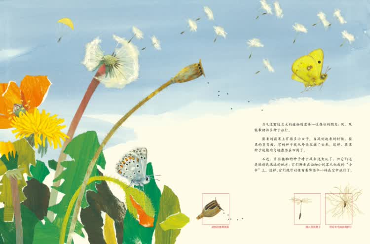 《正版:一粒种子的旅行 9787544248648》- 京东图书_ 8折现价25元
