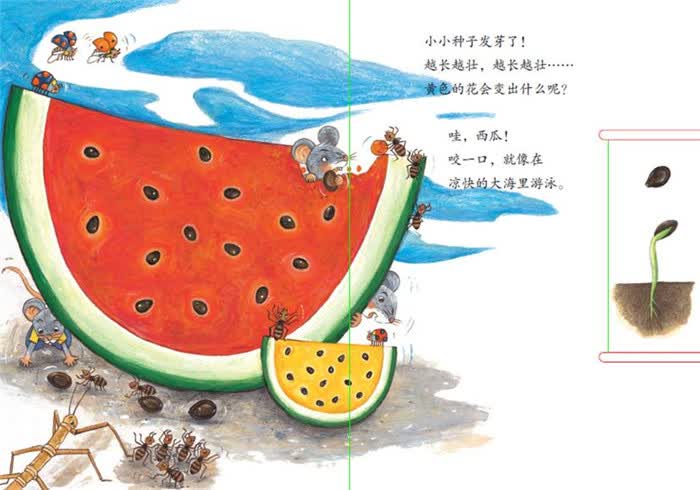 [jyy]启发精选幼儿互动游戏书:小种子,快长大---水果篇 (精装绘本)