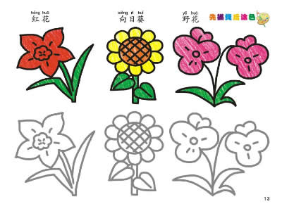 植物篇-我的第一本涂色画 河南科学技术出版社 刘智信绘