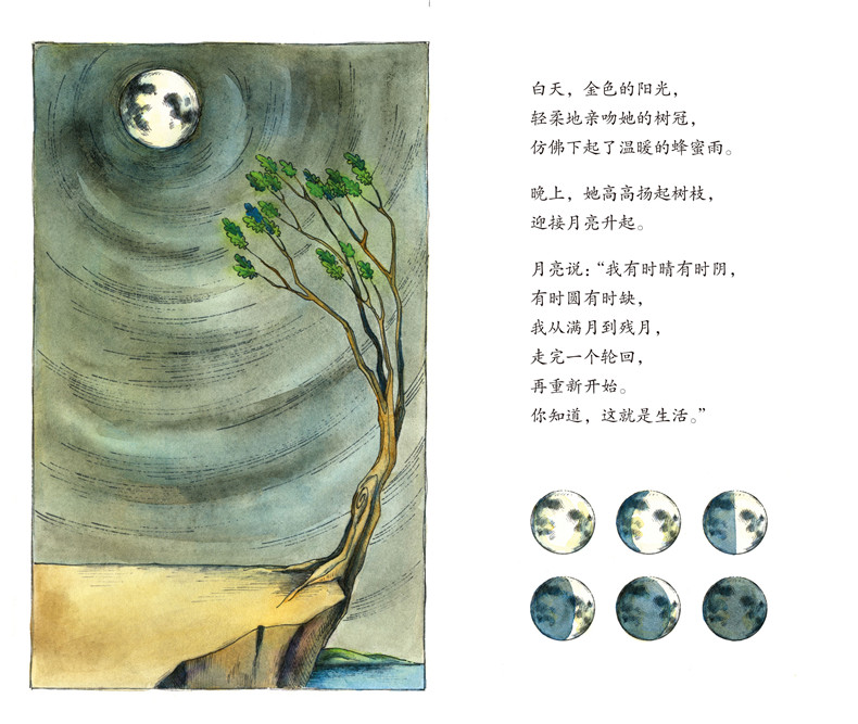 生命之树 让孩子更坚韧 儿童情绪管理与性格培养绘本 低幼启蒙 3-6岁